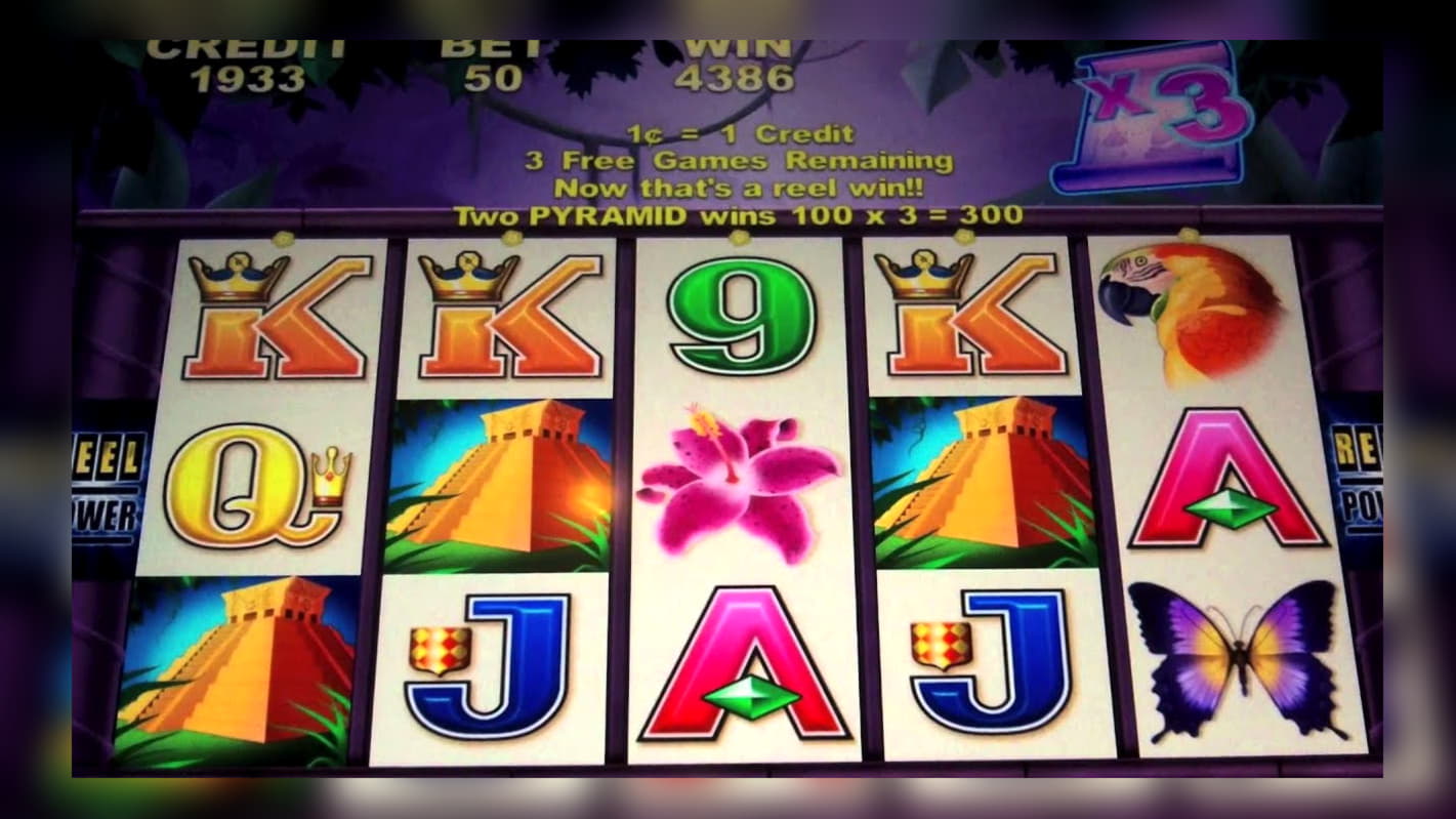 $444 Free Cash at Rizk Casino