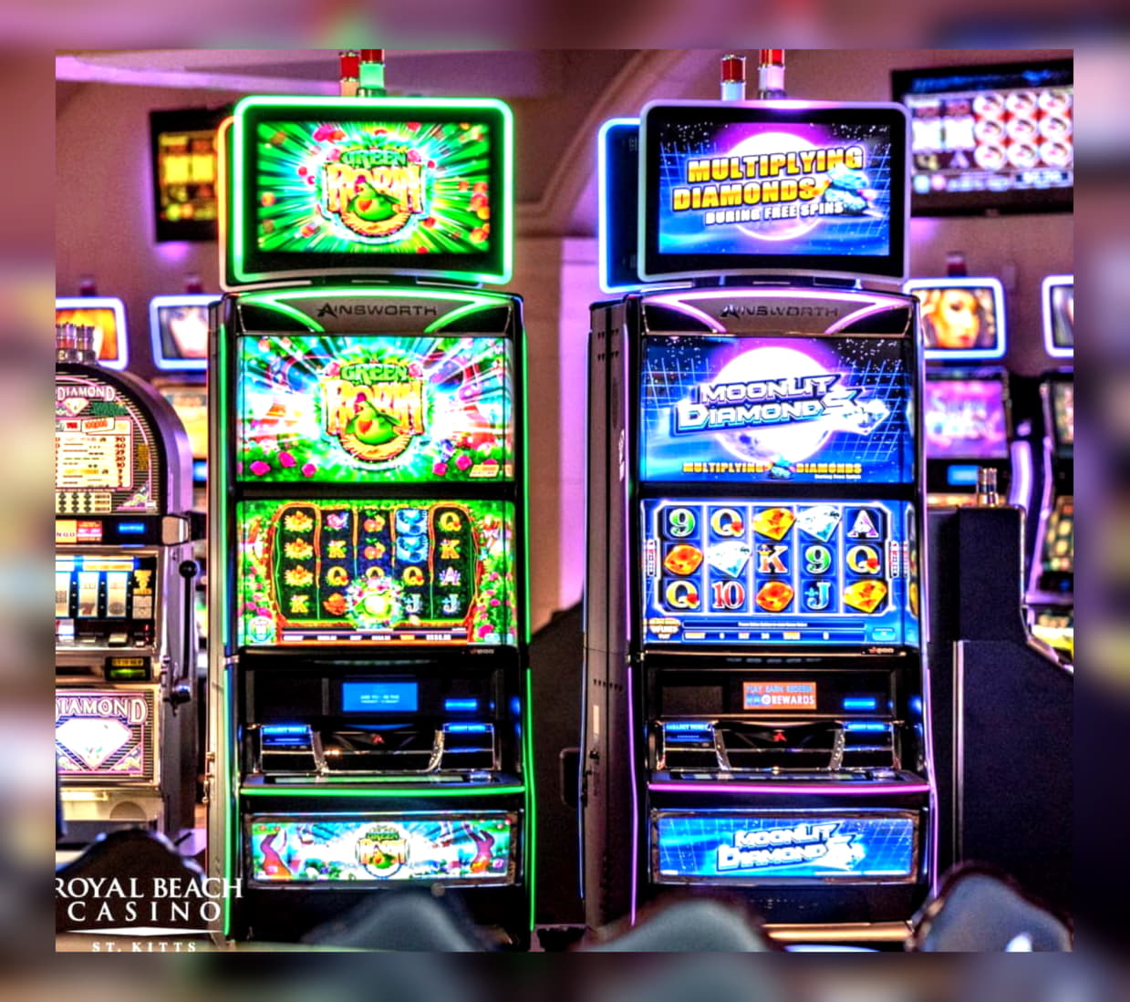 €775 Free Casino Tournament at Rizk Casino