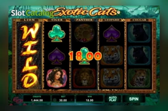 85% Deposit match bonus at BGO Casino