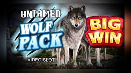 265 free spins no deposit at Leo Dubai Casino