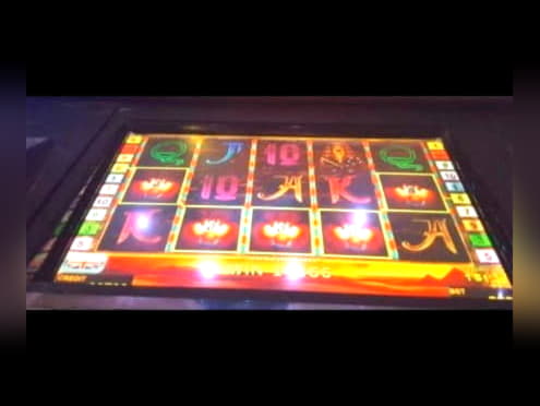 €135 Daily freeroll slot tournament at Kaboo Casino
