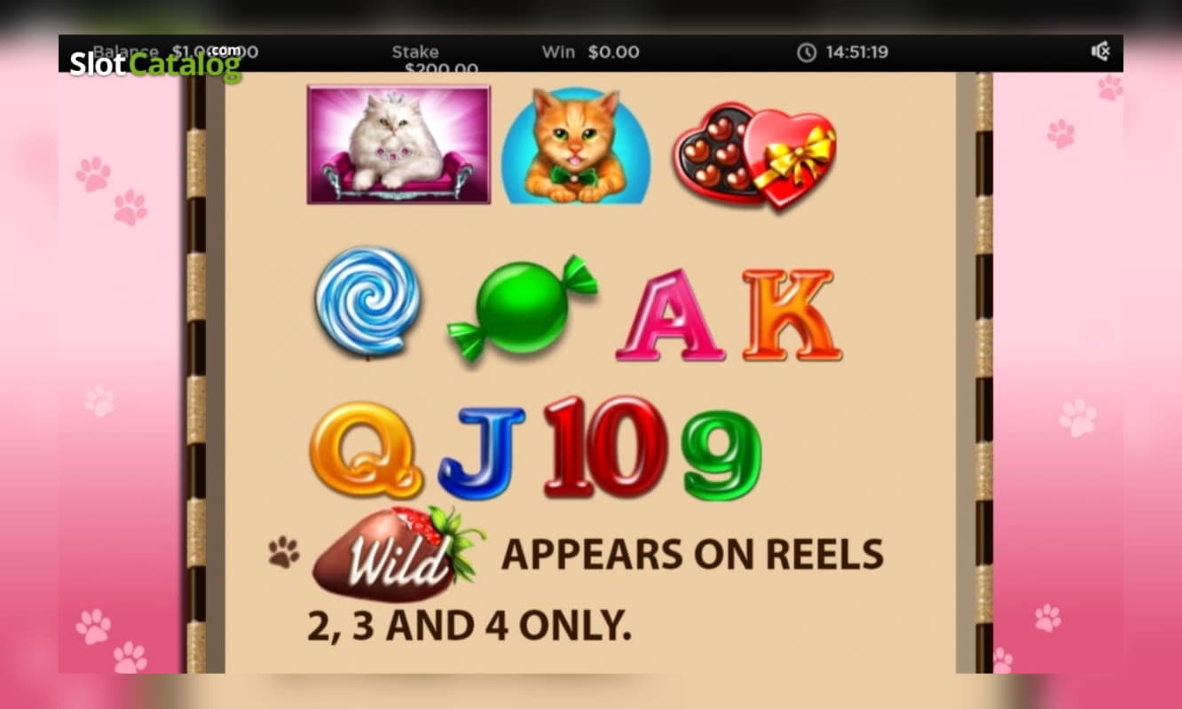 €465 Online Casino Tournament at Vera and Jhon Casino