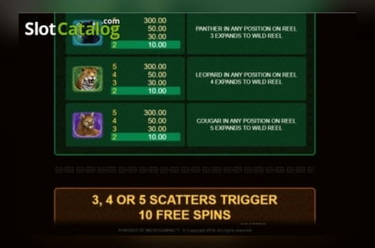 195 Free Casino Spins at Rizk Casino