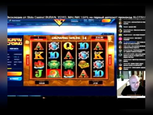 EUR 77 Casino tournaments freeroll at Casino Shadowbet