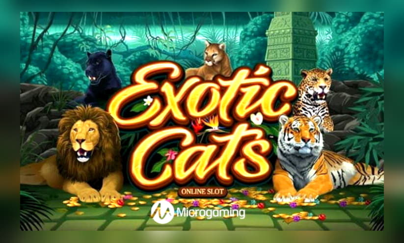 $230 Casino tournaments freeroll at Spinrider Casino