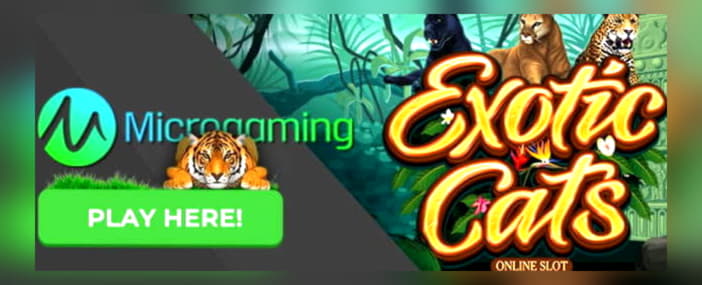 €795 Casino Tournament at High Roller Casino