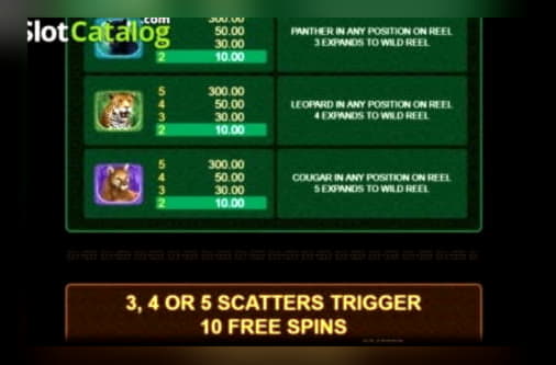 110 free spins at Casino com