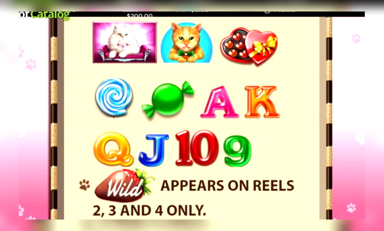 $90 Free chip casino at Vera and Jhon Casino