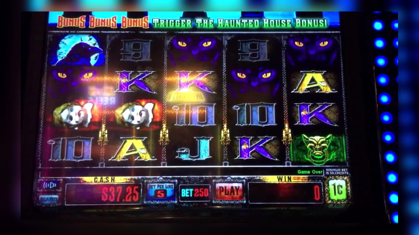 Eur 255 Free casino chip at Rizk Casino