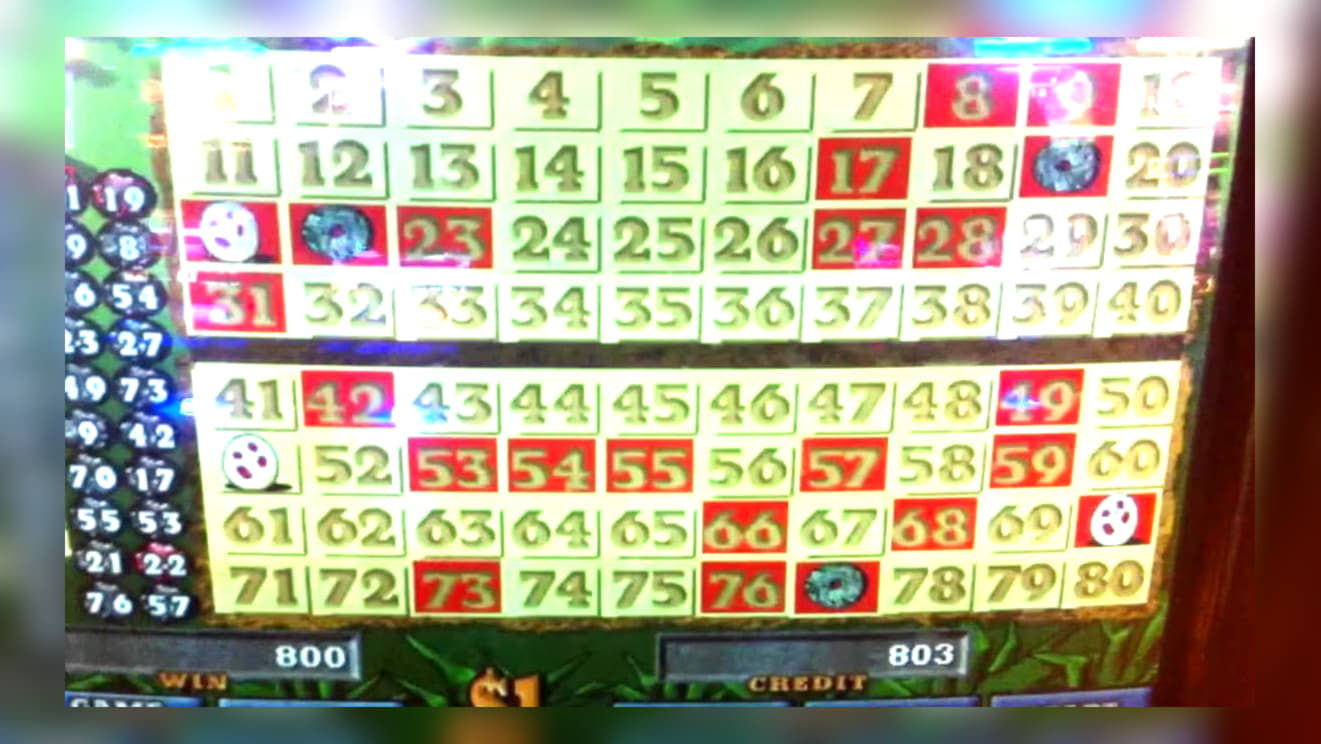 €970 Tournament at Leo Dubai Casino