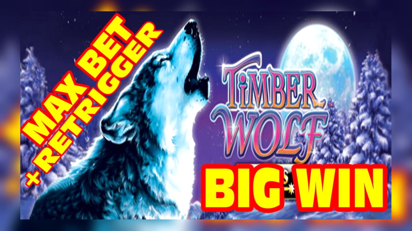﻿$4965 NO DEPOSIT BONUS CODE at Sloty Casino
