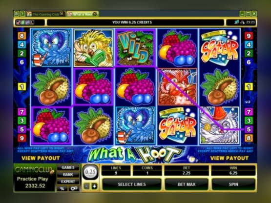 $240 Casino chip at Rizk Casino