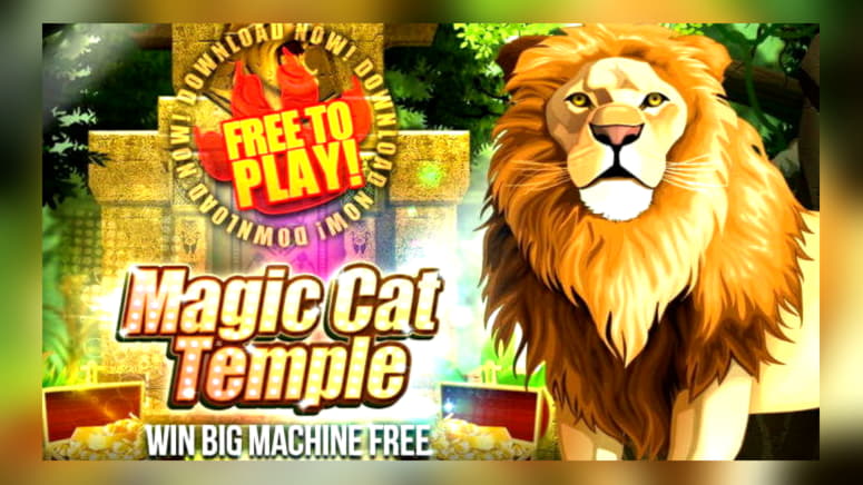 275 Free casino spins at Dunder Casino