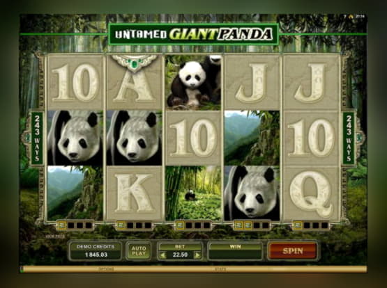 €190 Free Cash at Sloty Casino