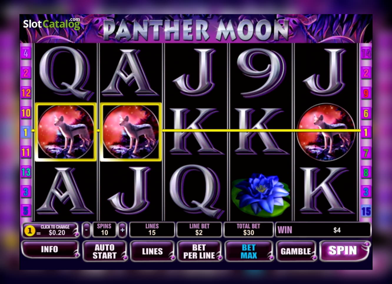 ﻿$735 Daily freeroll slot tournament at Rizk Casino