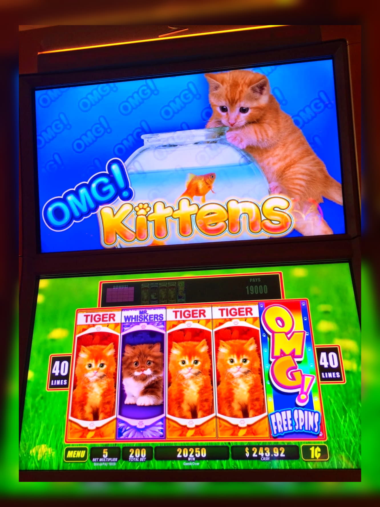 €685 Free Chip at Rizk Casino