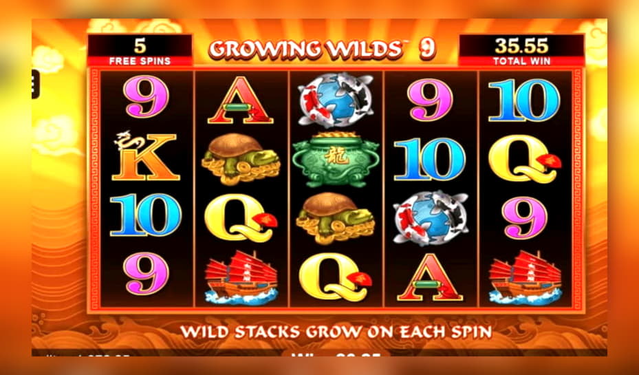 $4935 No Deposit at Dunder Casino