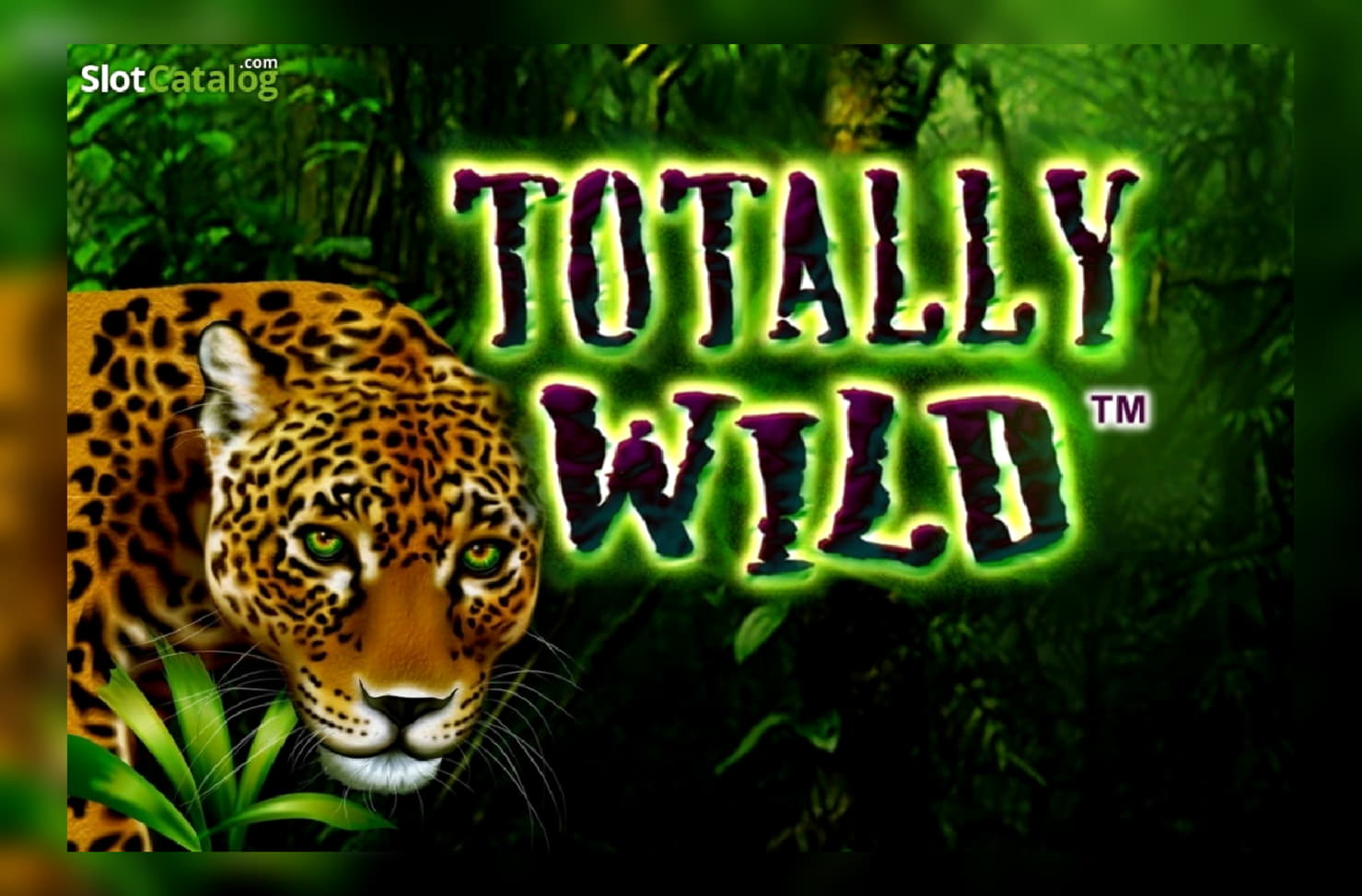 145 Free spins casino at William Hill Casino