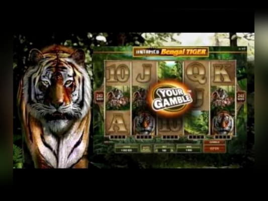 €395 Free chip at Sloty Casino