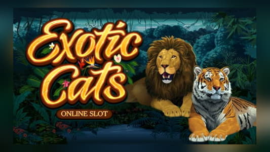 75 free spins casino at Leo Dubai Casino