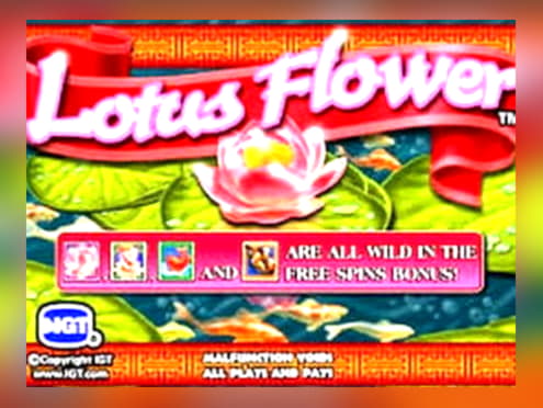 $1240 NO DEPOSIT BONUS CODE at Slots Million Casino