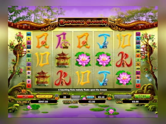 ﻿$800 Casino tournaments freeroll at Rizk Casino