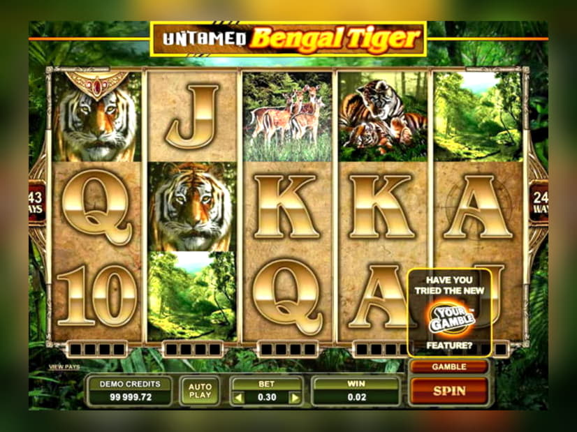 €410 Daily freeroll slot tournament at LV Bet Casino