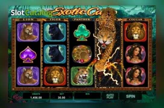 305% Signup Casino Bonus at Betway Casino
