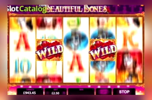 450% No Rules Bonus! at Vera and Jhon Casino