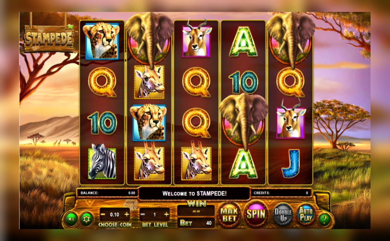 70 Free spins at bWin Casino