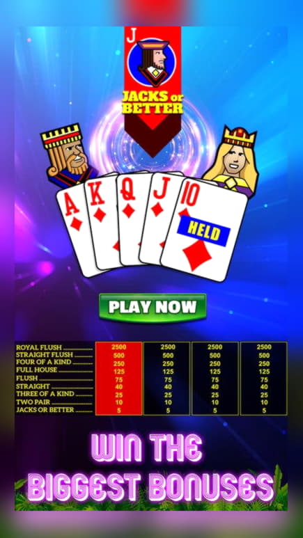 230 free spins at Rizk Casino