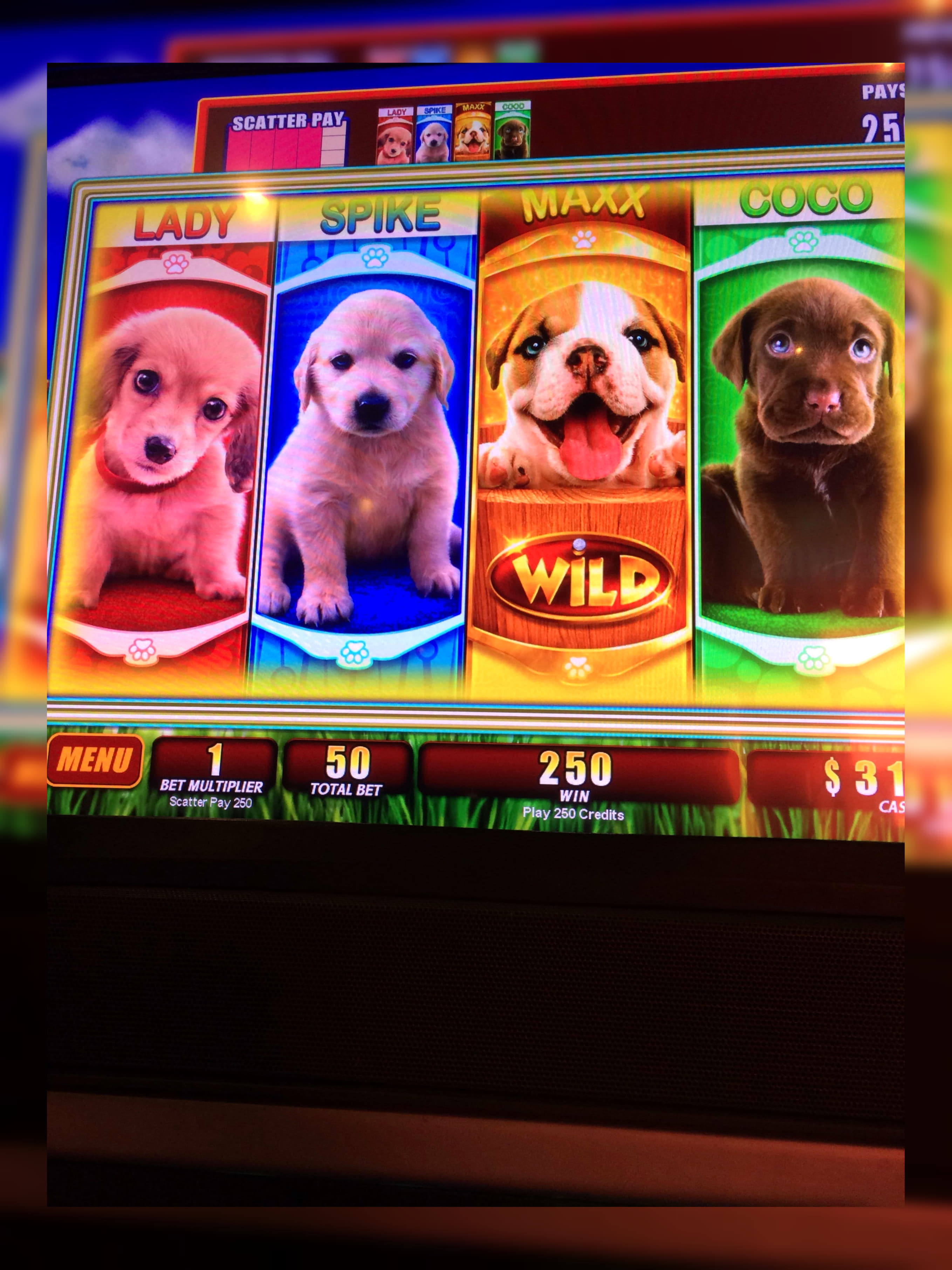 $75 Casino chip at BGO Casino