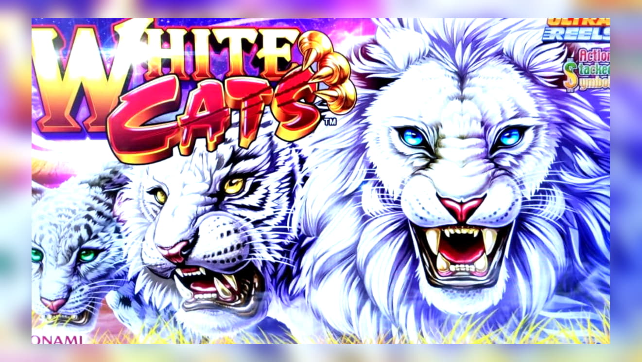 €1250 No deposit bonus code at Kaboo Casino