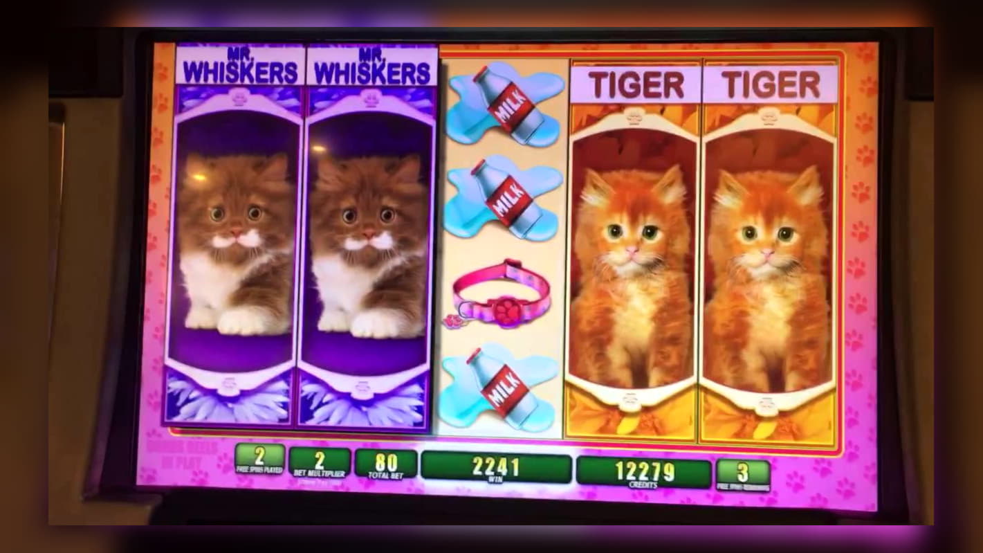 €2310 no deposit at Rizk Casino