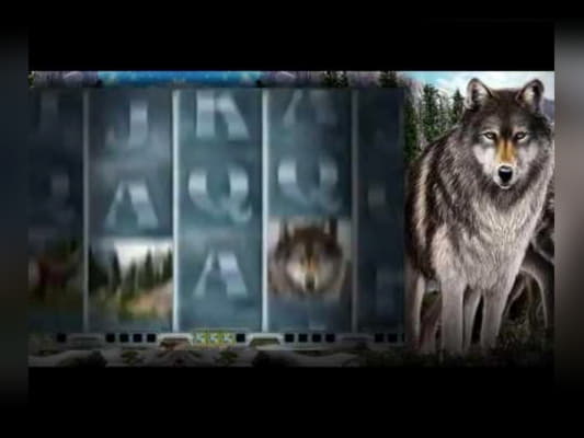 €215 Mobile freeroll slot tournament at Vera and Jhon Casino