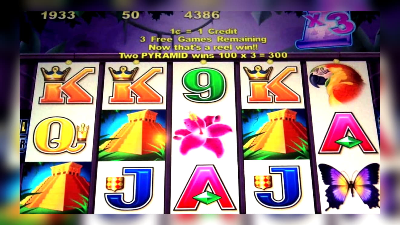 $255 Casino chip at Rizk Casino