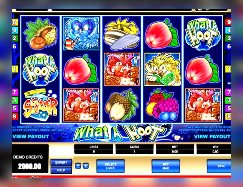 $865 Tournament at Guts Casino