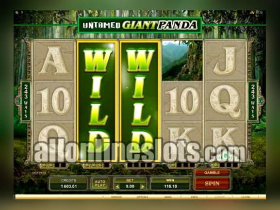 44 free spins no deposit at bWin Casino