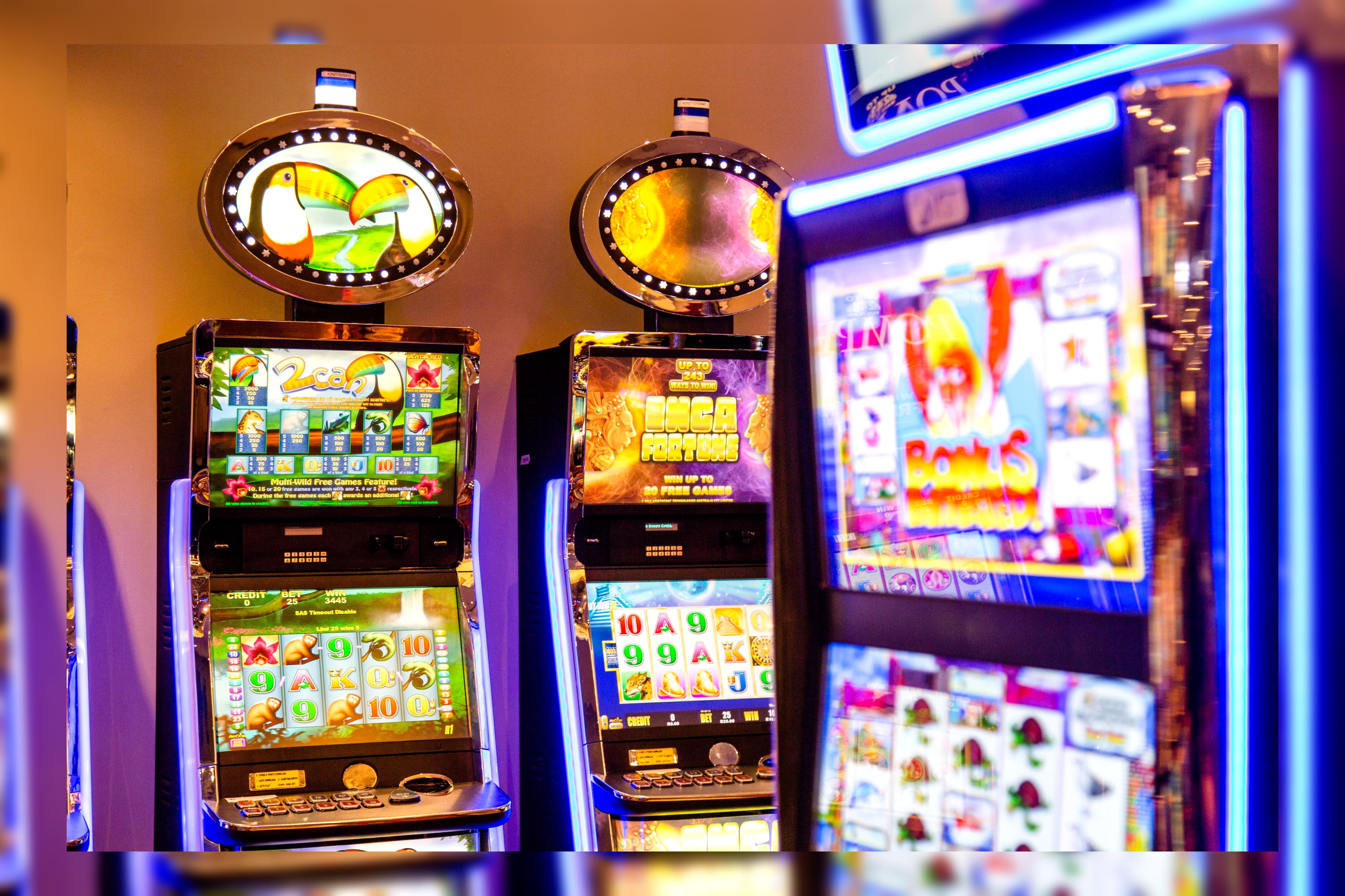 295 Free spins casino at Guts Casino