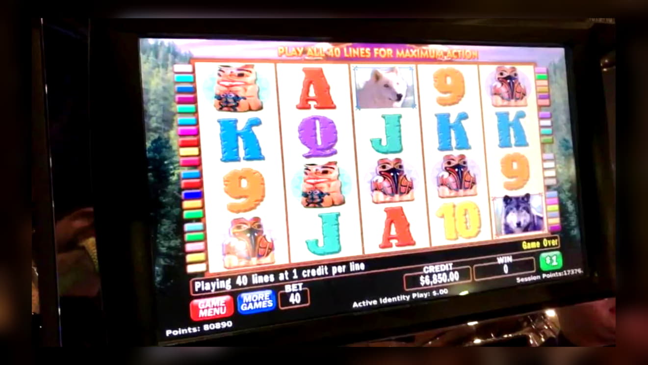 €890 Daily freeroll slot tournament at Leo Dubai Casino