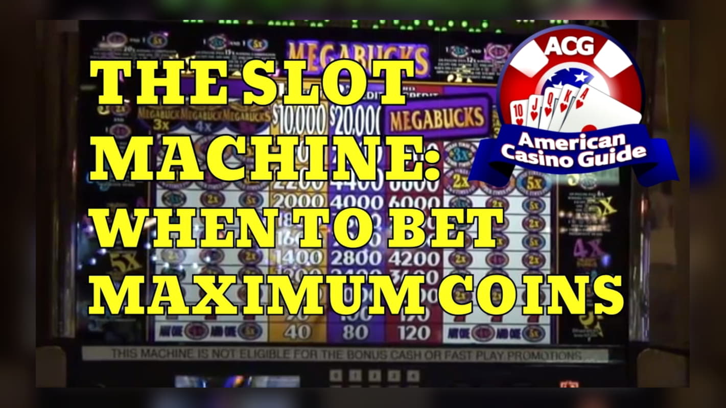 775% Match Bonus Casino at Rizk Casino