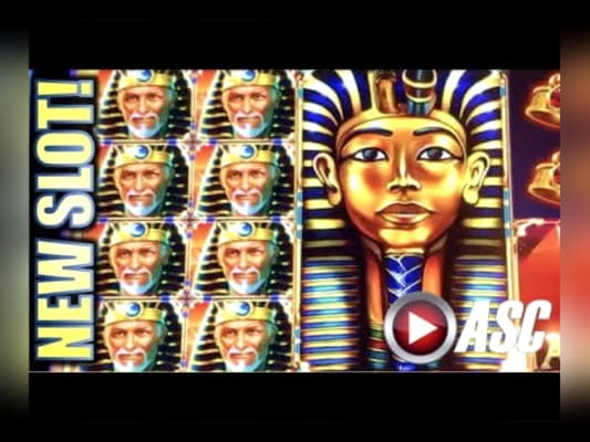 €925 Daily freeroll slot tournament at Guts Casino