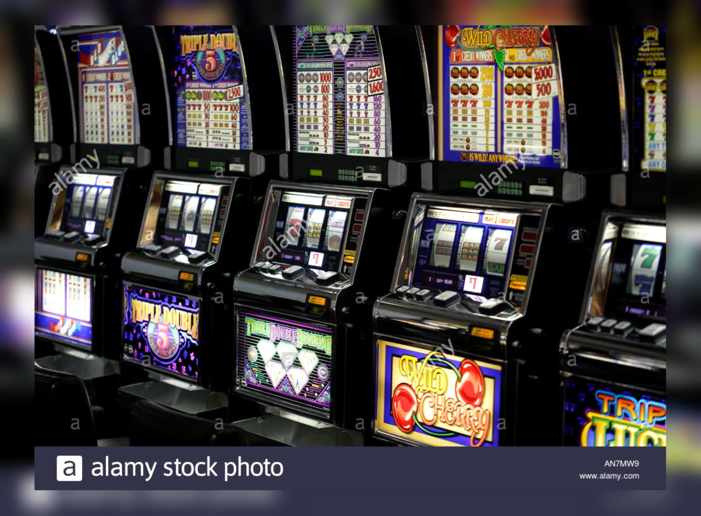 225 Free spins no deposit casino at Sloty Casino