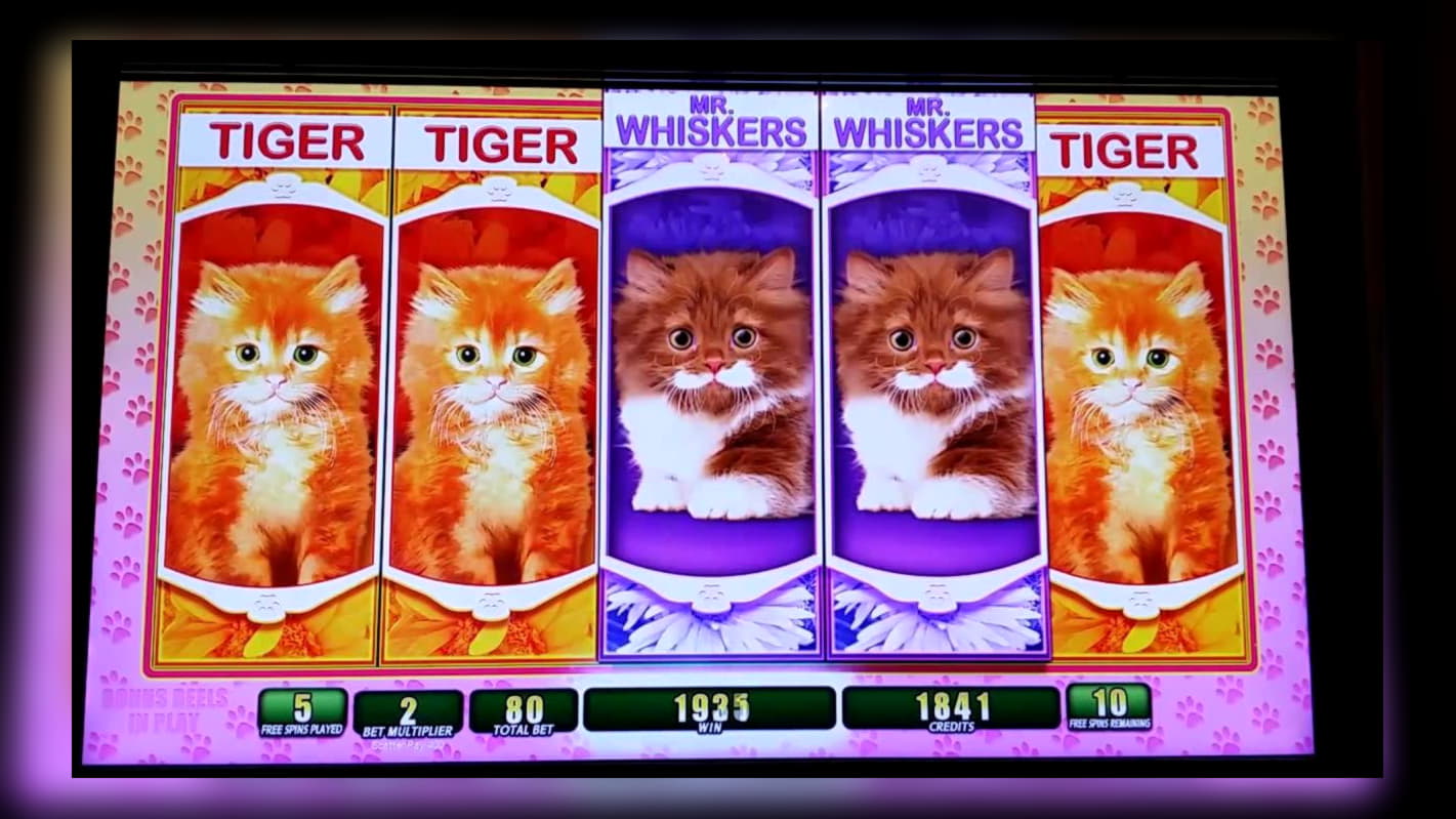 $485 FREE Chip at 7 Sultans Casino