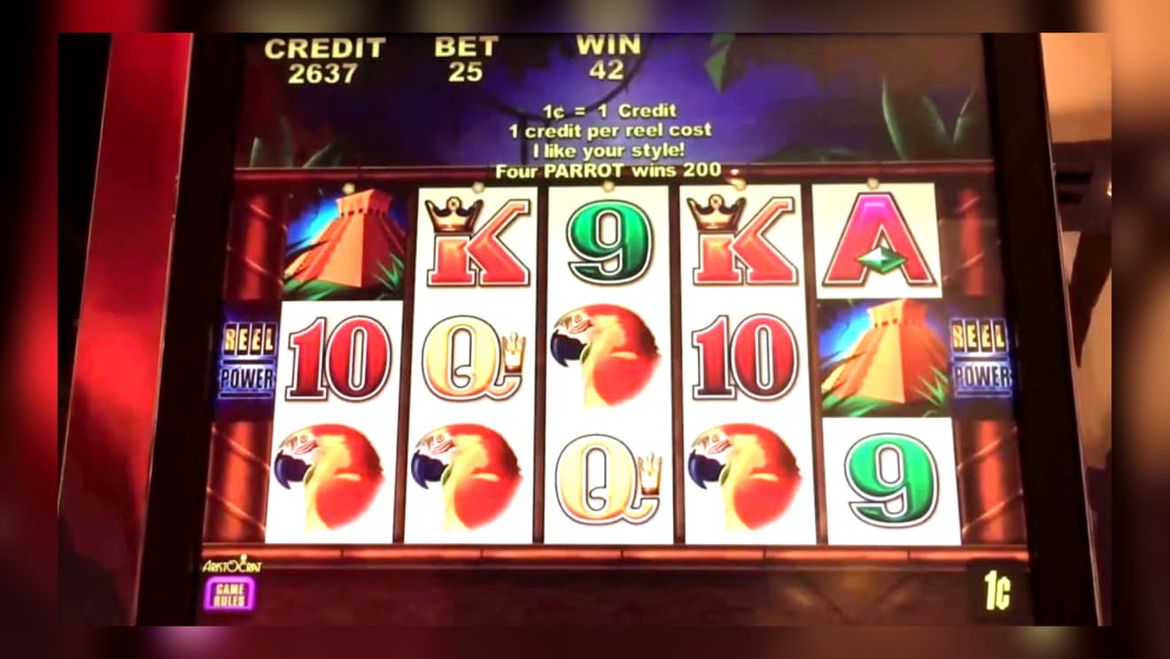 505% Deposit match bonus at Rizk Casino