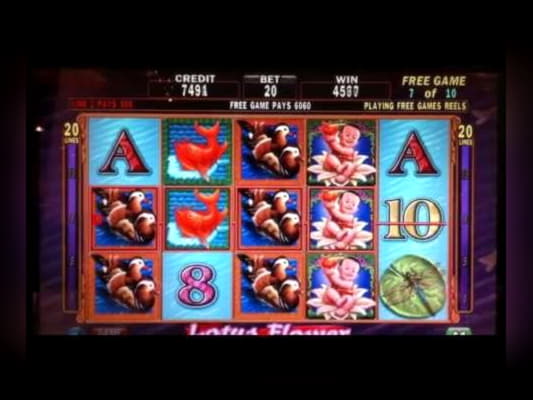 $810 Online Casino Tournament at Spinrider Casino