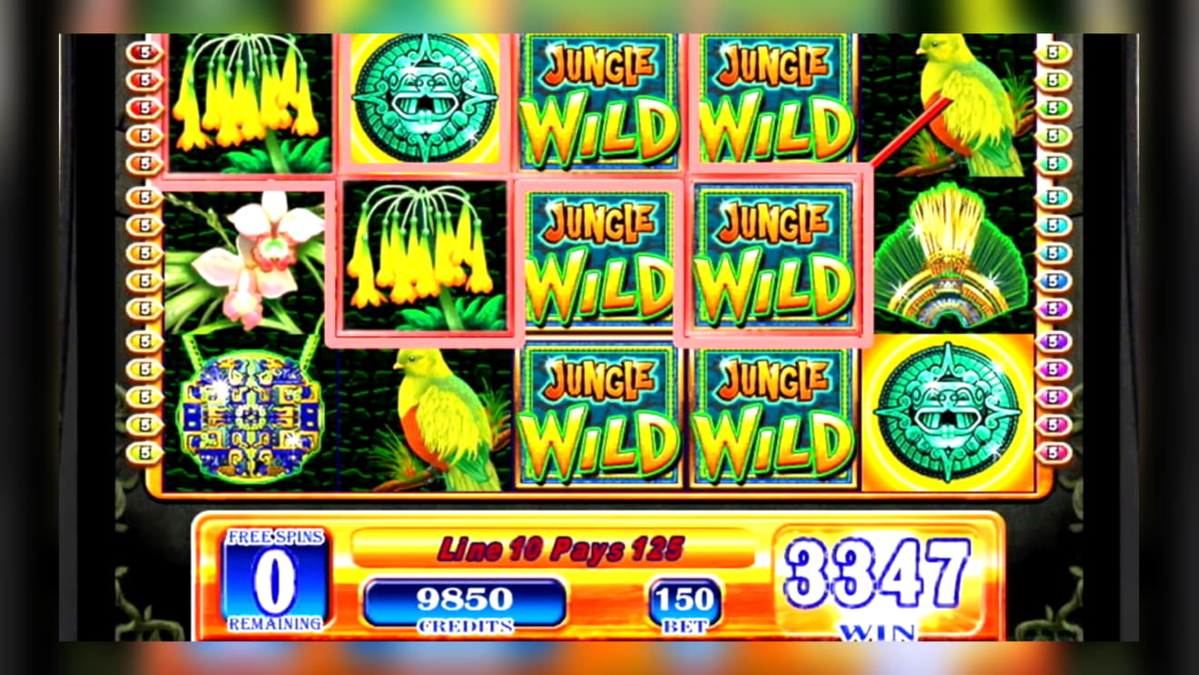 315% Signup casino bonus at Vera and Jhon Casino