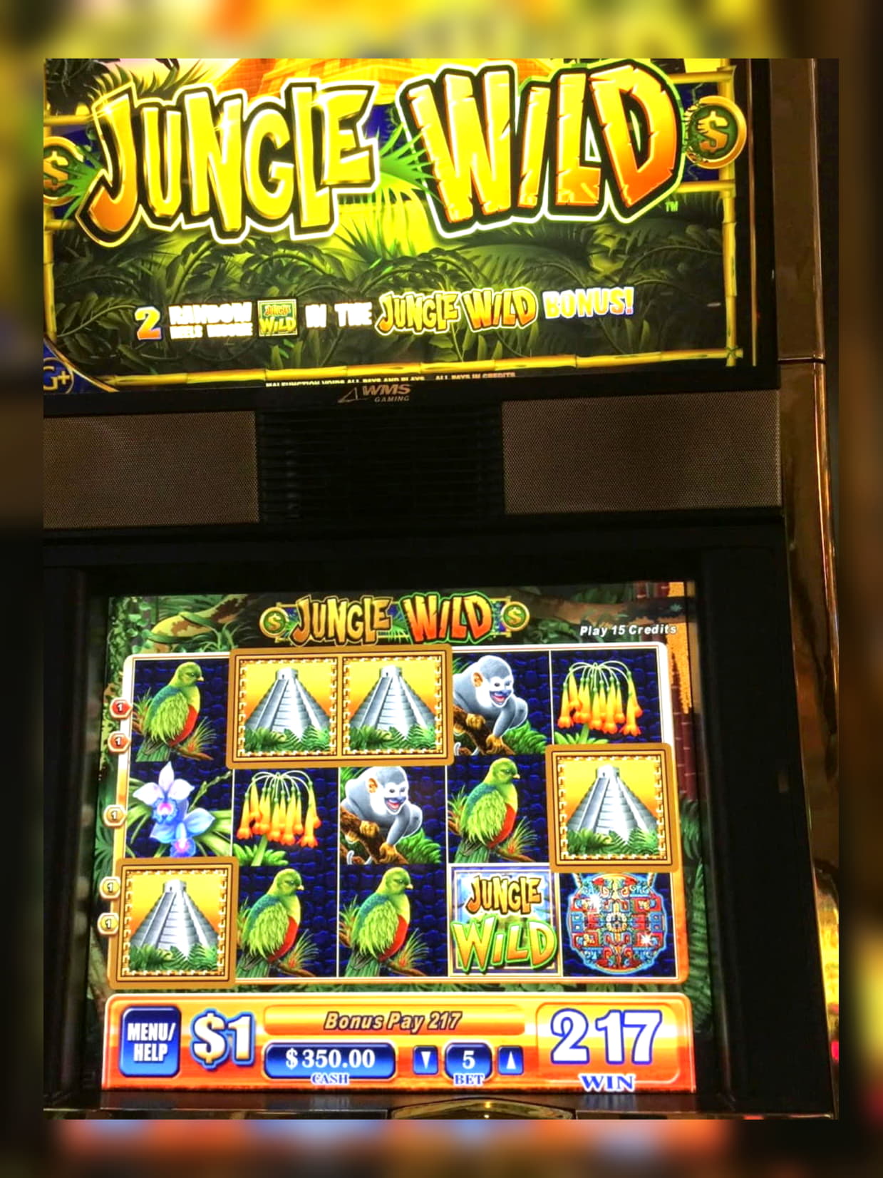 230 Free casino spins at Sloty Casino