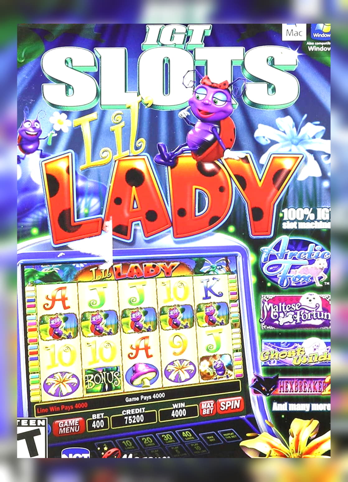 300 FREE SPINS at High Roller Casino