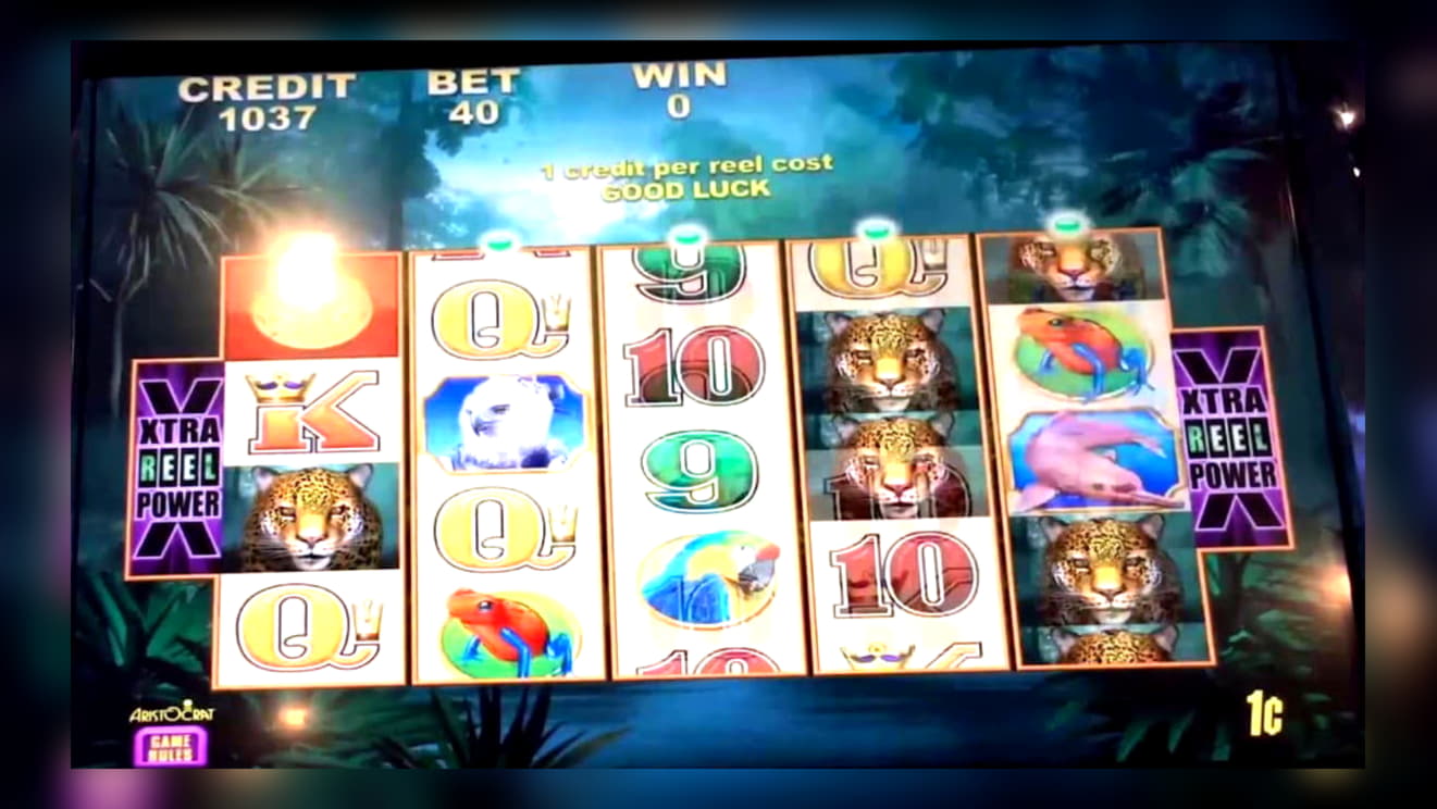 €255 Casino Chip at BGO Casino